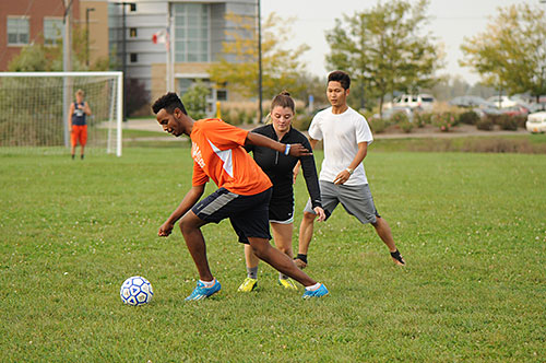 soccer fields