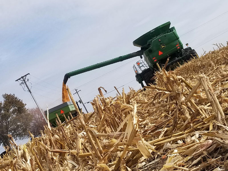 Another successful corn cam season