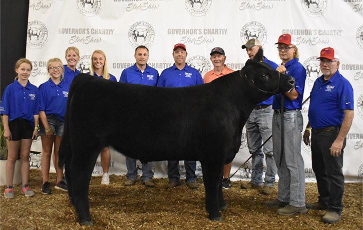 Steer Show