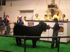 Governor's Charity Steer Show