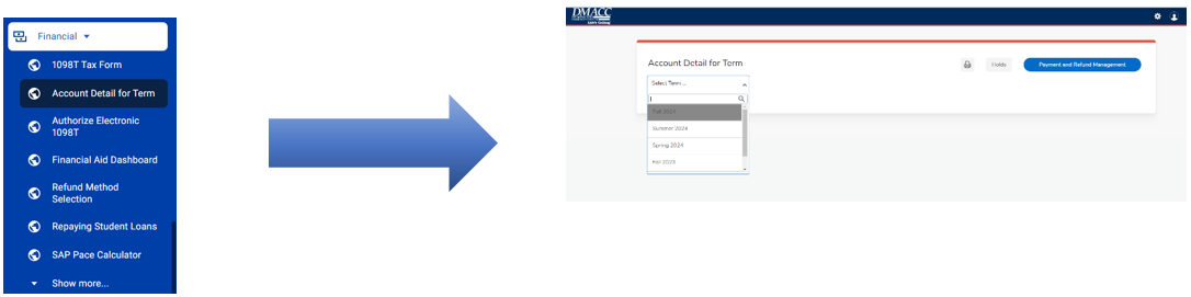 Step 3. In the list under the Financial section, click Account Detail for Term. This should re-direct you to your Account Detail screen.