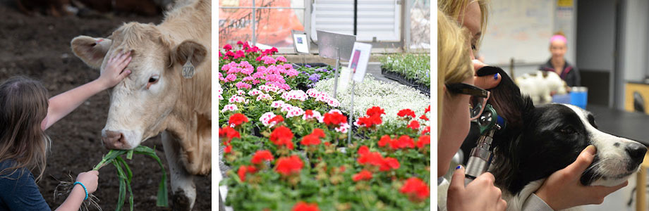 Future of Agriculture Scholarship