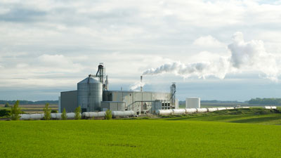 Agribusiness
