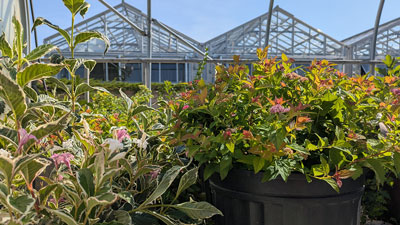 Horticulture