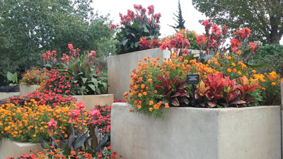 Horticulture