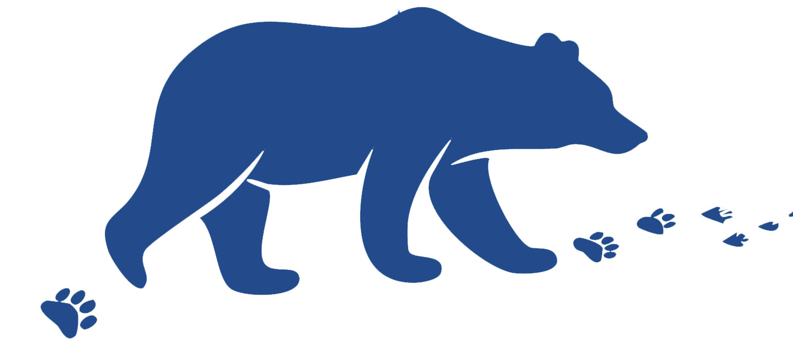 Bear Tracks